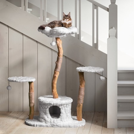 Mau Lifestyle Leone 50-in Modern Wooden Cat Tree & Condo