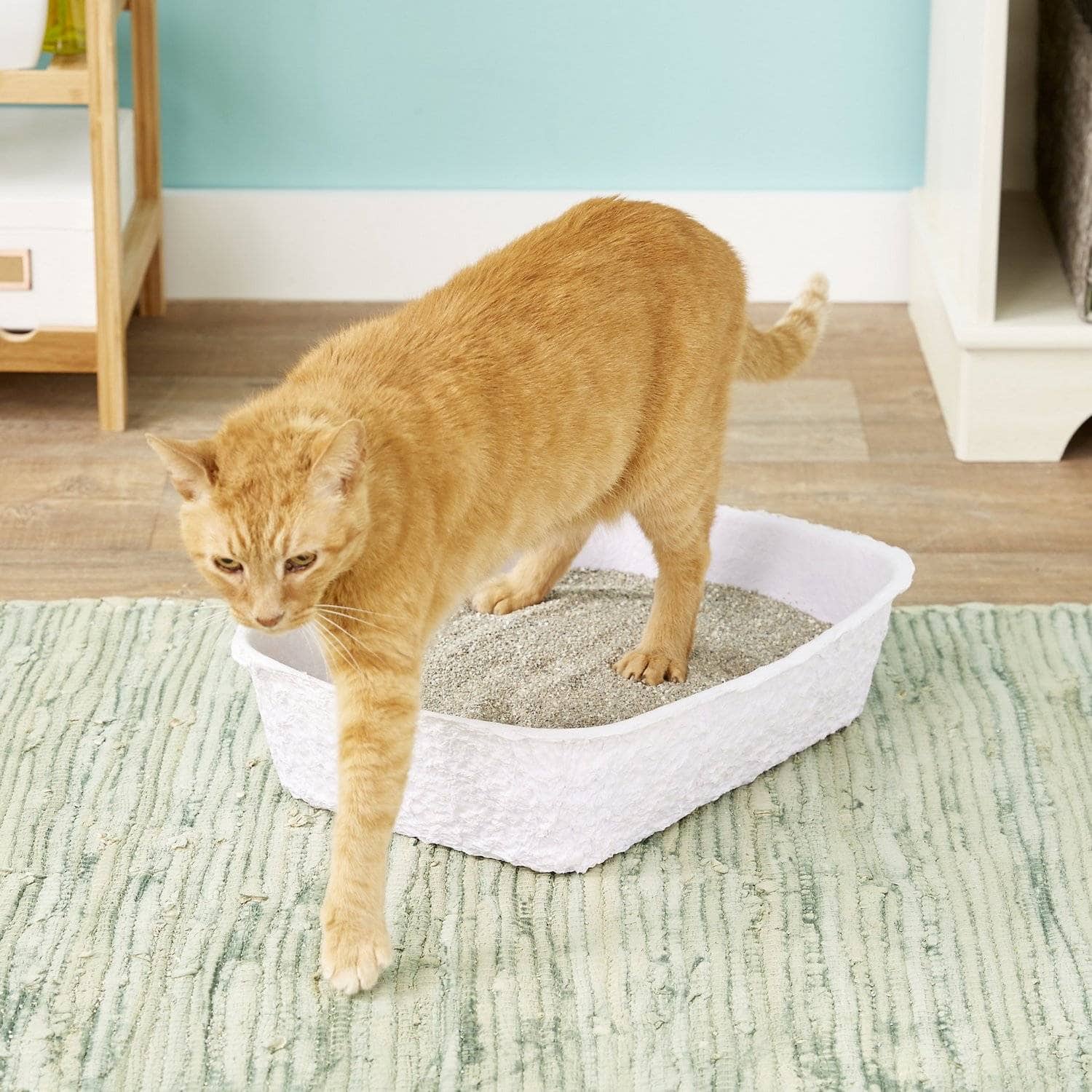 Nature's Miracle Disposable Cat Litter Box (1)