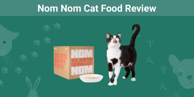 Nom Nom Cat Food - Featured Image