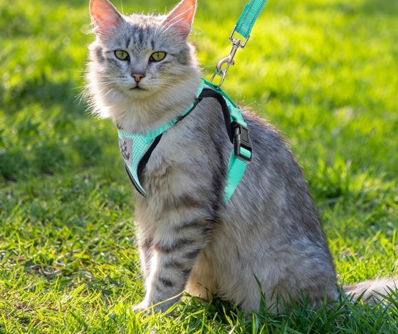 Adjustable Cat Harness Reflective Cat Leash and Harness Set for Cats Puppies Daily Outdoor Small Cat Harness Escape Proof Cat Harness Large Grey XS ATMAGIC Cat Harness and Leash for Walking 