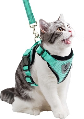 PUPTECK Cat Harness and leash Set