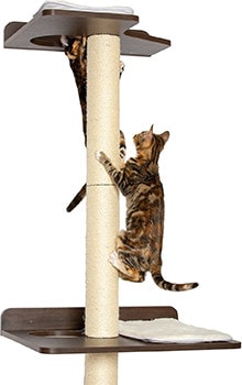 PetFusion Wall Mounted Cat Tree