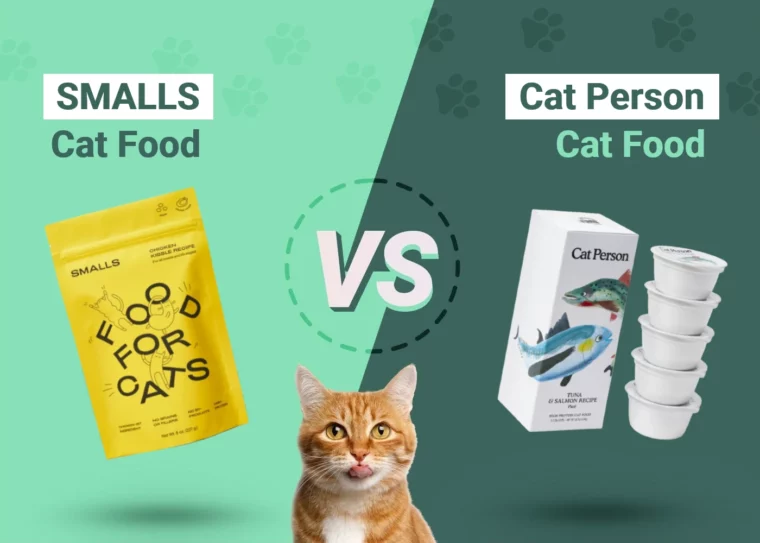 SMALLS vs Cat Person Cat Food - Featured Image