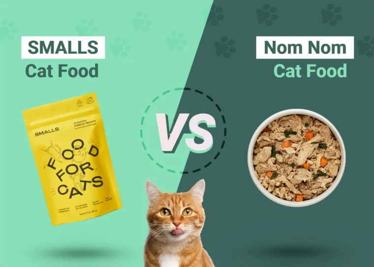 SMALLS vs Nom Nom Cat Food - Featured Image