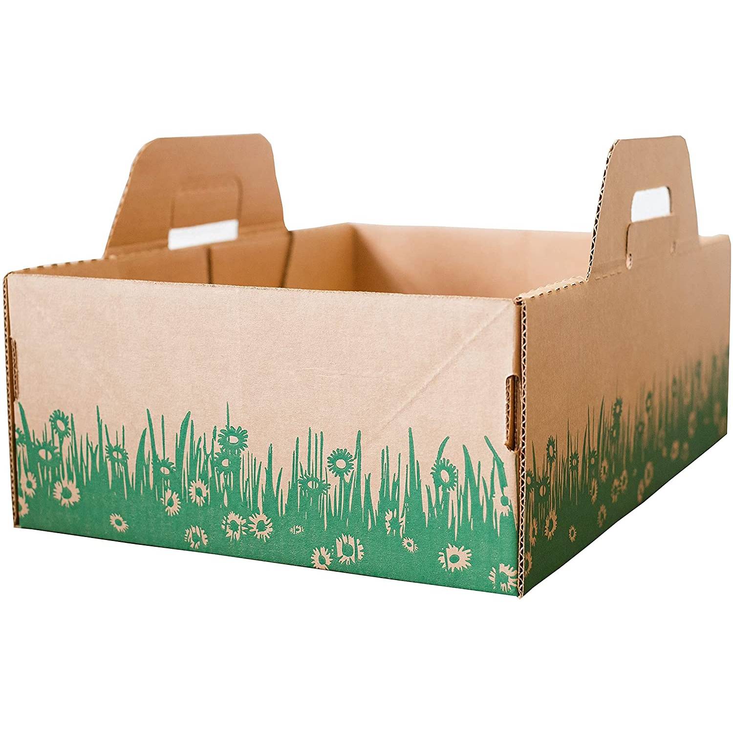 Ten Second Litter Boxes (1)