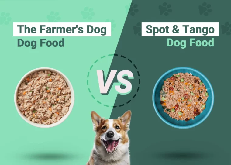 The Farmer's Dog vs Spot & Tango Dog Food - Featured Image