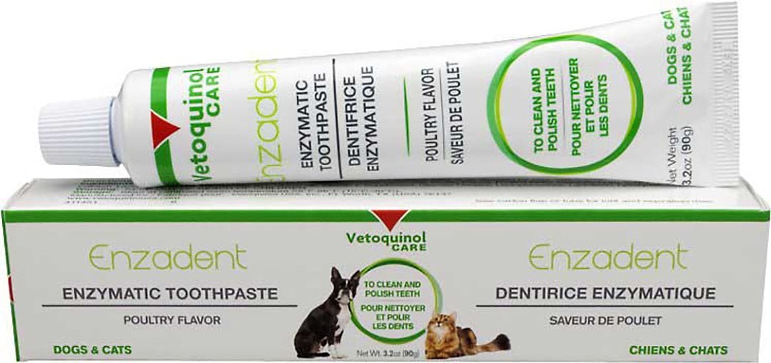 Vetoquinol Enzadent Enzymatic Poultry-Flavored Toothpaste