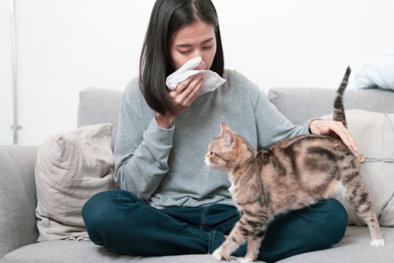 एलर्जी से ग्रस्त महिला बिल्ली पकड़े हुए