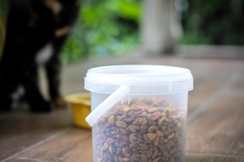 cat food in plastic container