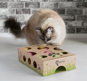 cat playing Cat Amazing Interactive Treat Maze & Puzzle Cat Toy