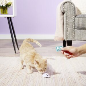 cat playing Hexbug Remote Control Mouse Cat Toy