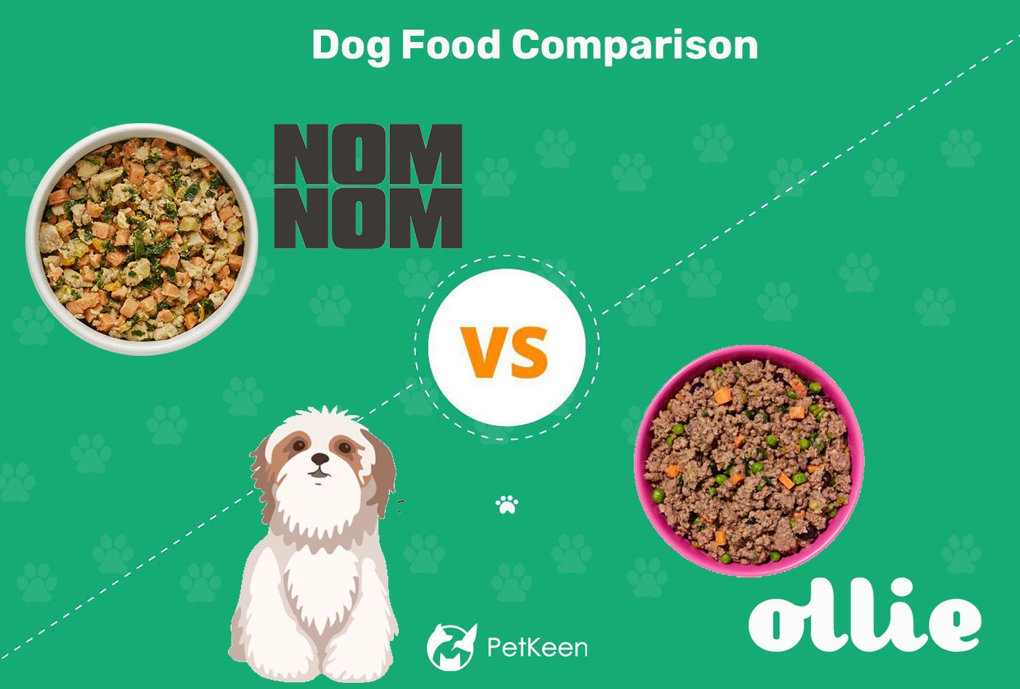 Nom Nom vs Ollie Dog Food: Our 2022 In-Depth Comparison | Pet Keen