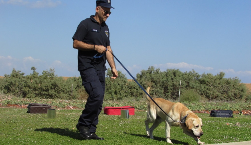 पुलिस कुत्ता प्रशिक्षण
