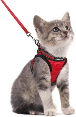 CatRomance Cat Harness and Leash Adjustable Cat Vest Harness for Kittens Breathable Kitty Harness ​with Reflective Strips and Easy Control Escape Proof Kitten Harness and Leash Set for Walking 