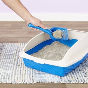scooping Arm & Hammer Litter Double Duty Scented Clumping Clay Cat Litter from litter box