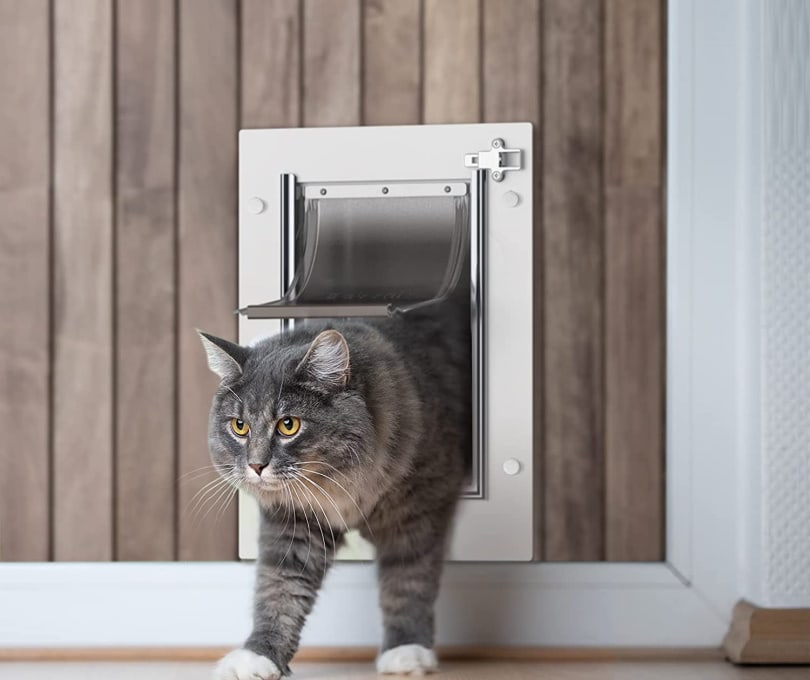 10 Best Cat Doors For Cold Weather In, Stop Cat Opening Sliding Door