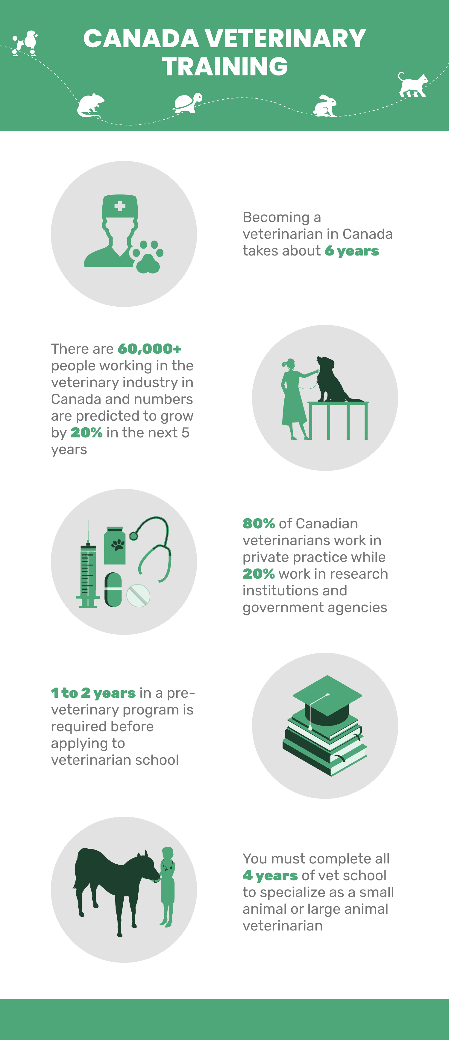 How Long Does It Take To Become A Veterinarian in Canada? (Facts and  Statistics for 2023) | Pet Keen