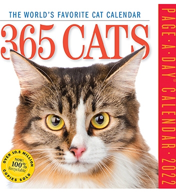 Cat-A-Day 2022 Cat Calendar