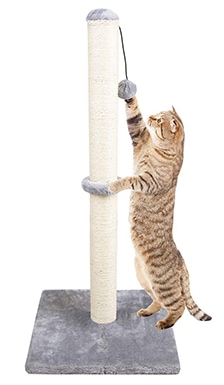 Dimaka 34 inch Tall Ultimate Cat Scratching Post