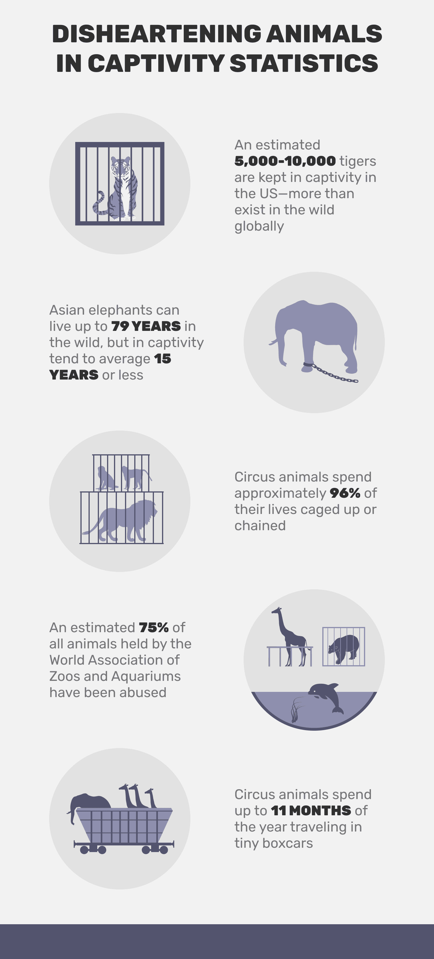 15 Disheartening Animals in Captivity Statistics to Know in 2023 | Pet Keen
