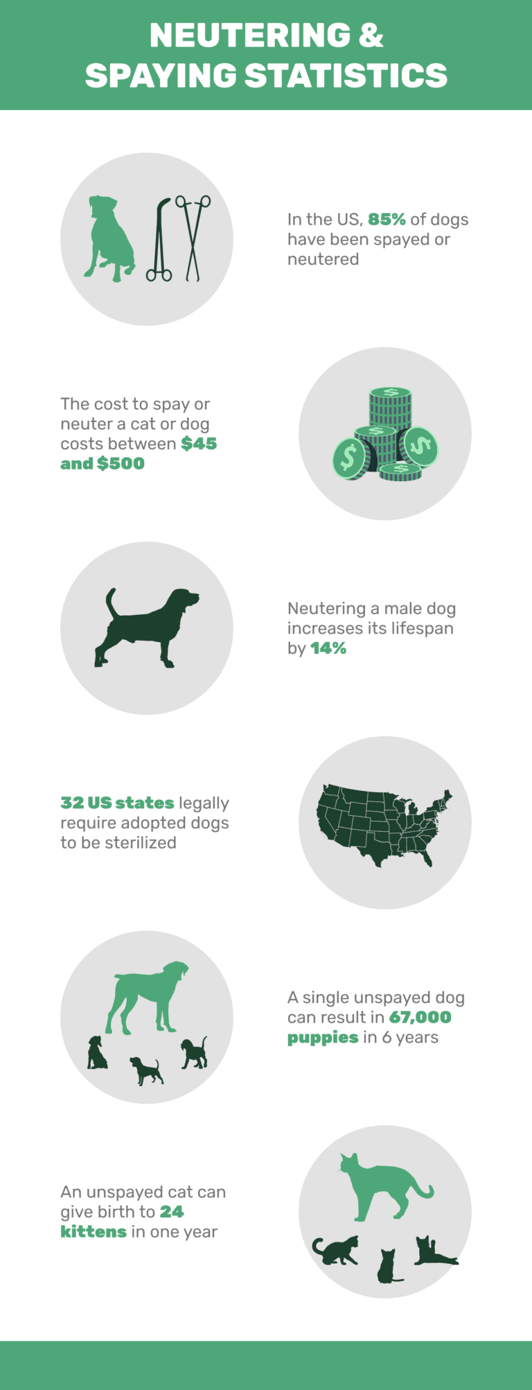 Spaying And Neutering Statistics