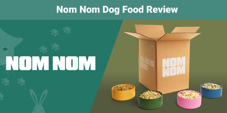 Nom Nom Dog Food Review_2024