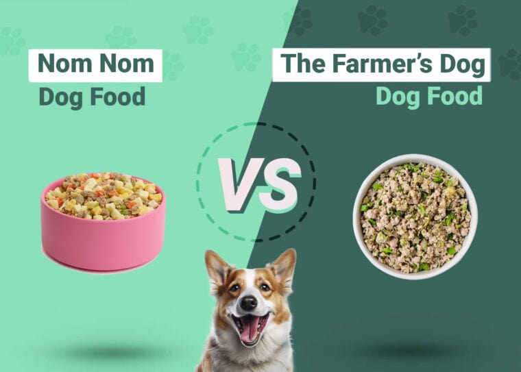 Nom Nom Dog Food vs The Farmer's Dog 2024