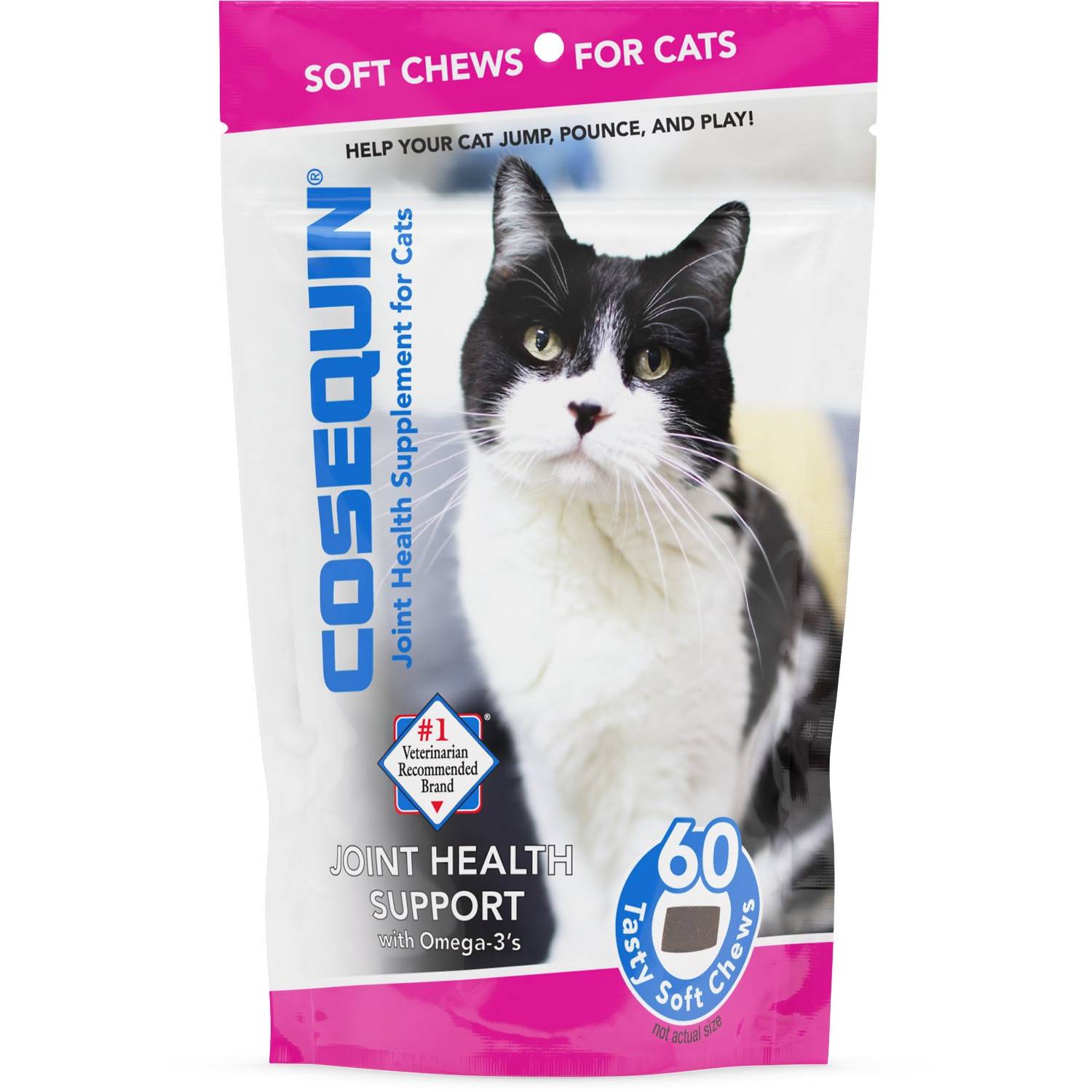 Nutramax Cosequin Soft Chews Joint Supplement for Cats (1)