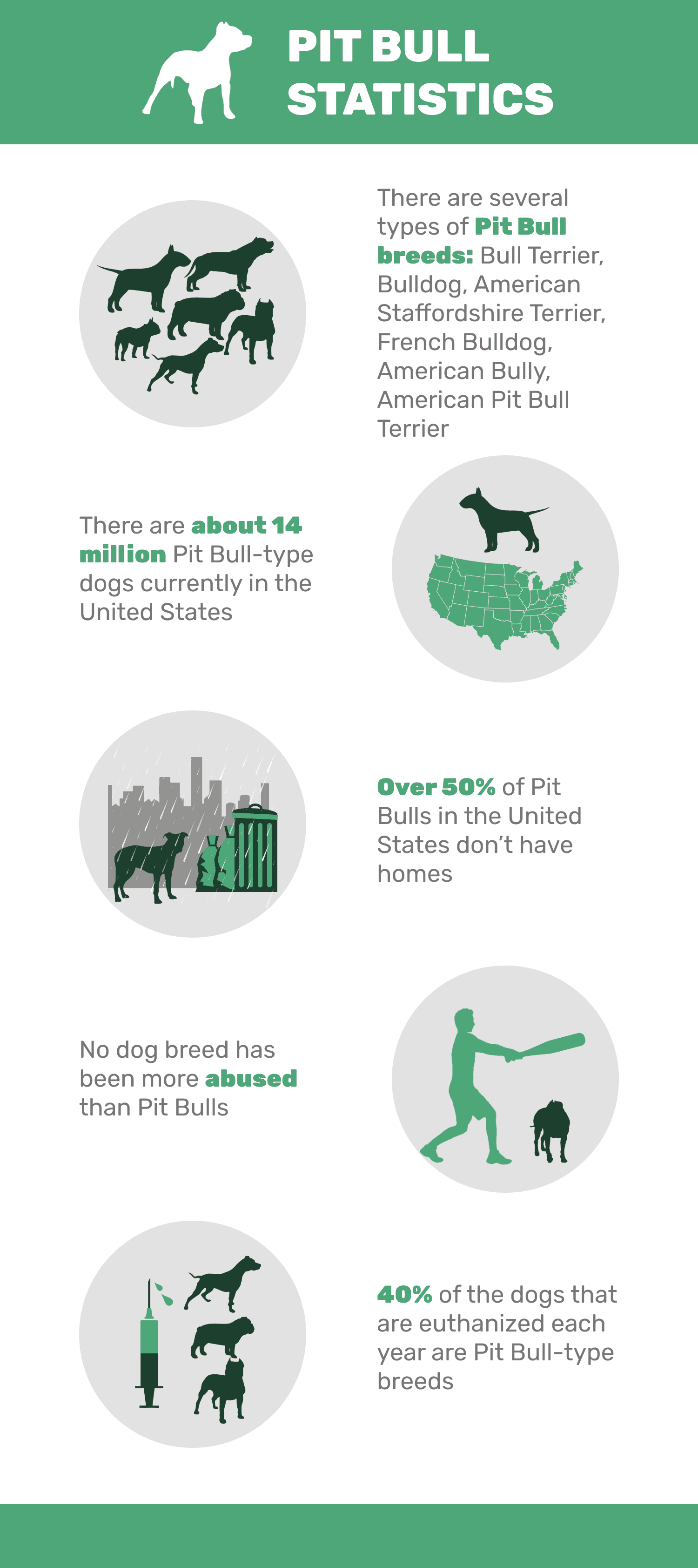 pitbull statistics 2021 pet keen