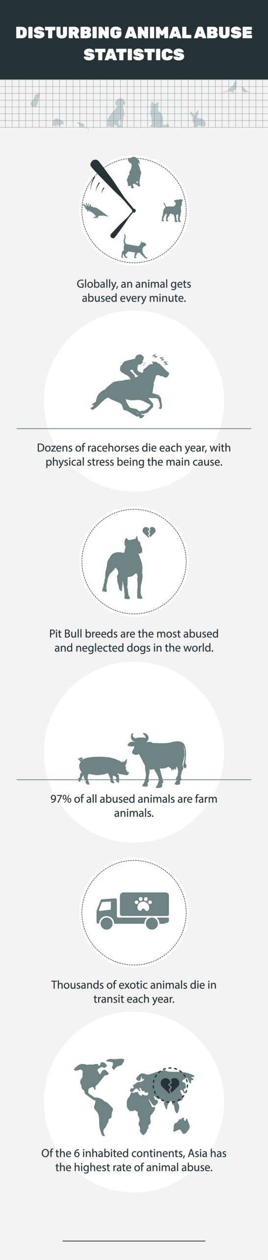 20 Disturbing Animal Abuse Statistics & Facts to Know in 2023 | Pet Keen