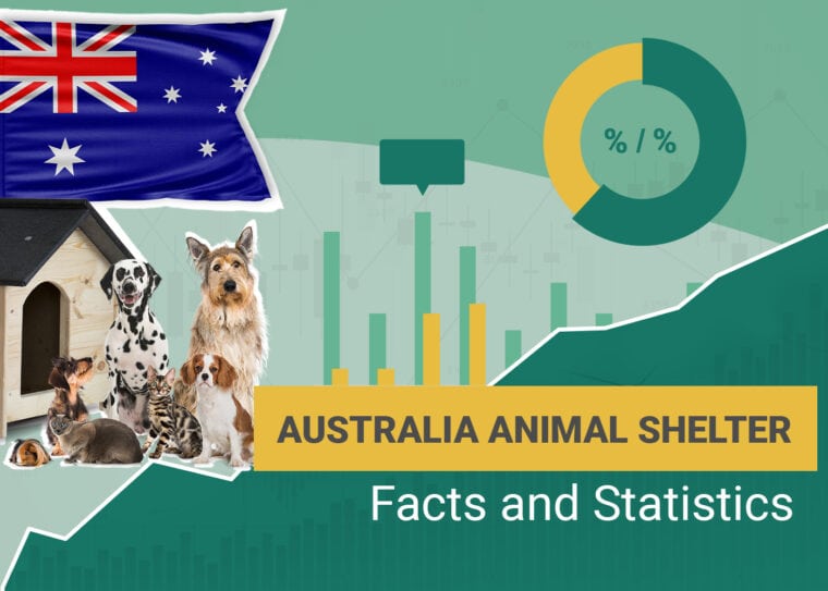 Australia Animal Shelter Facts and Statistics