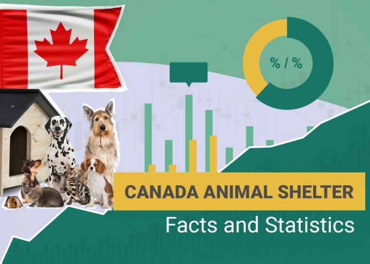 Canada Animal Shelter Facts and Statistics