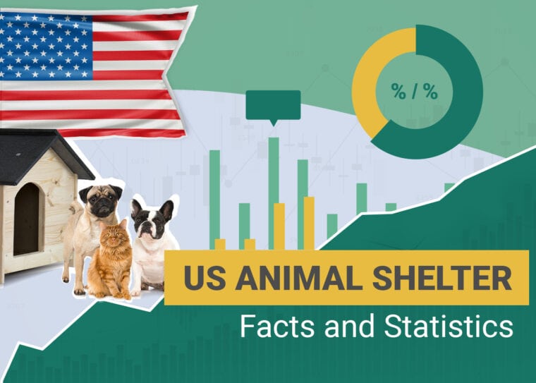 US Animal Shelter Facts and Statistics