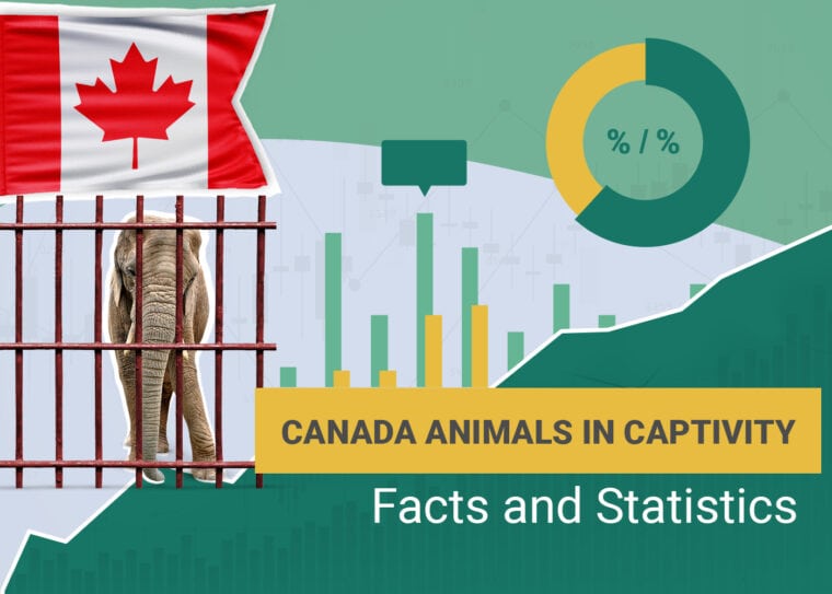 Animals in Captivity Statistics Canada