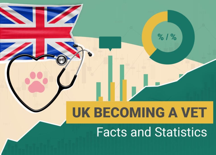 UK Becoming a vet facts and Statstics