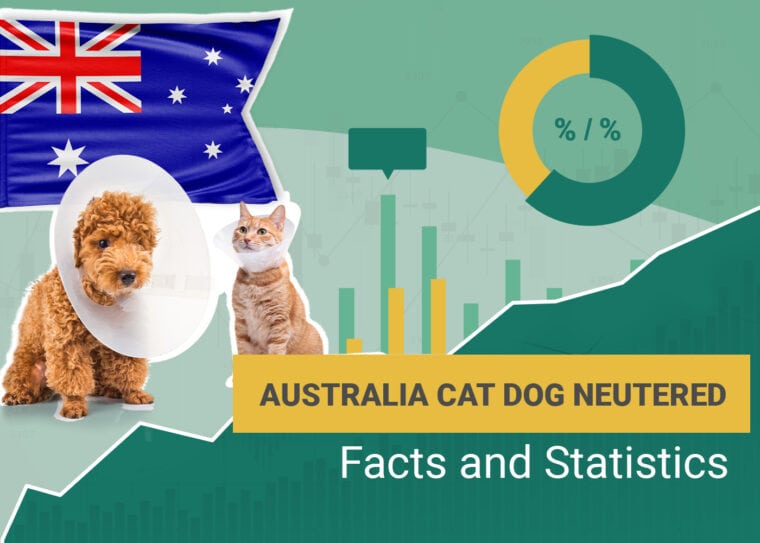 Australia Cat Dog Neutered Facts and Statistics