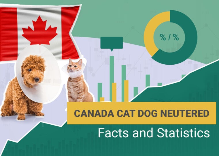 Canada Cat dog neutered Facts and Statistics