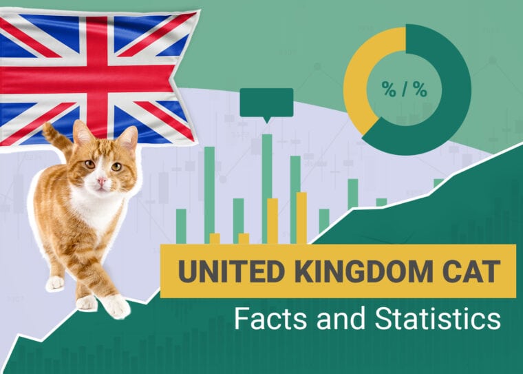 United Kingdom Cat Facts and Statistics