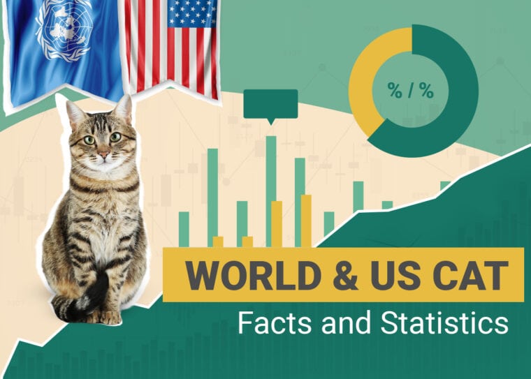 World & US Cat Facts and Statistics
