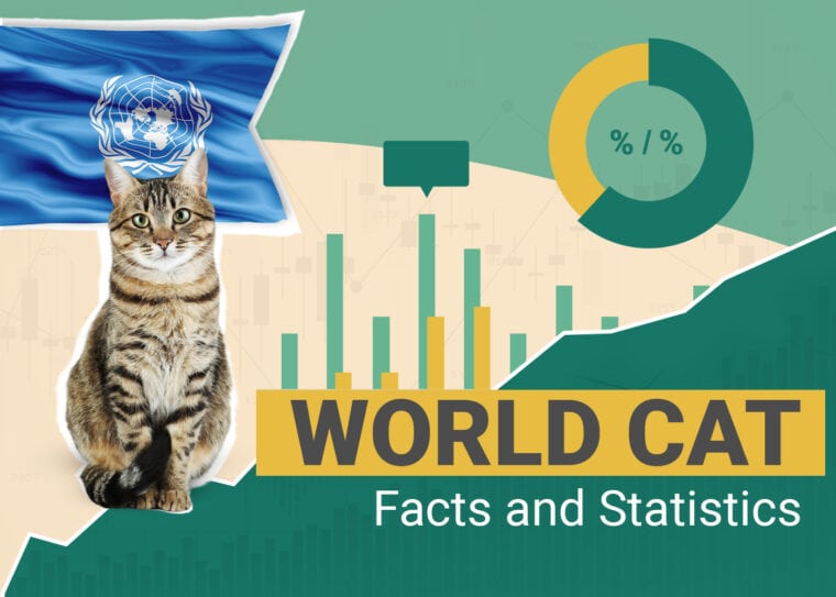 World Cat Facts and Statistics