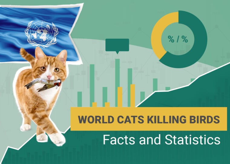 world cats killing birds