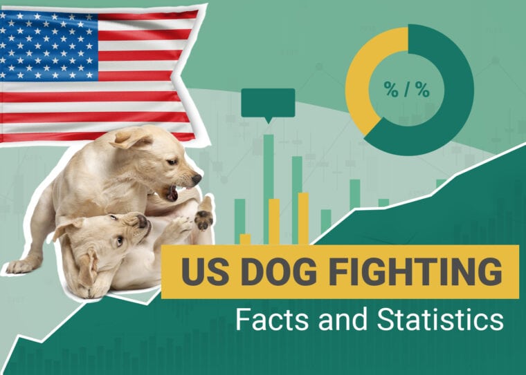 US Dog Fighting Facts and Statistics