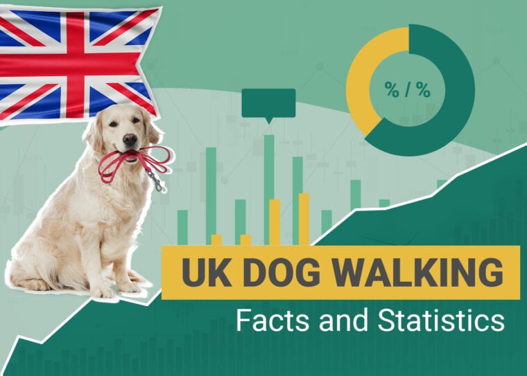 Dog Walking Statistics UK