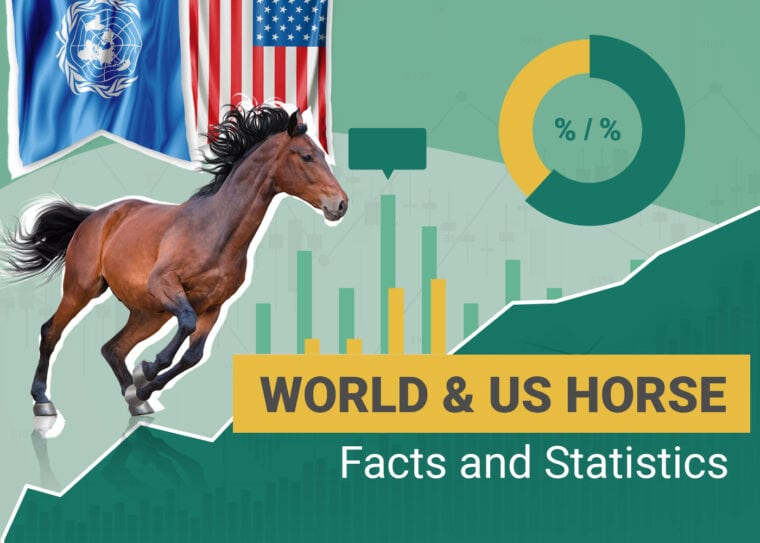 World & Us horse Facts and Statistics