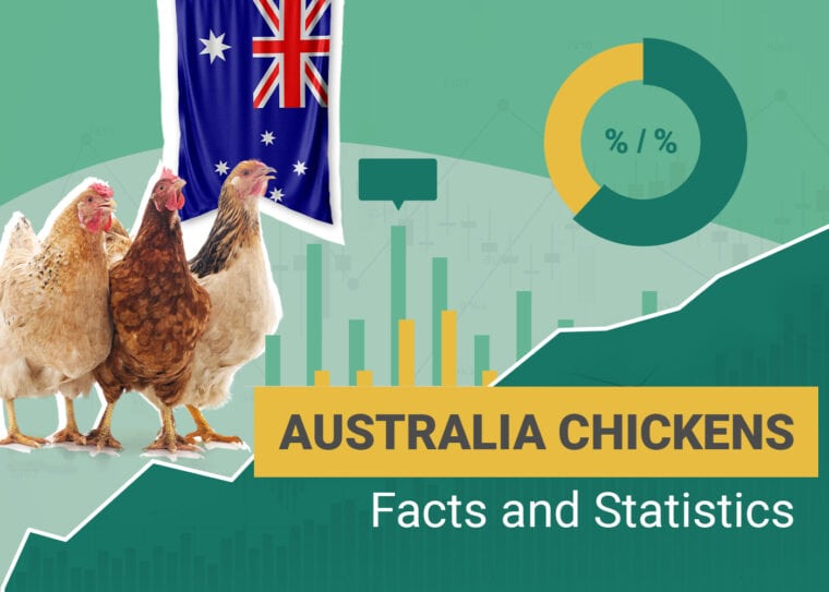 How Many Chickens Statistics Australia