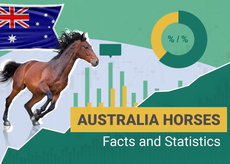 How Many Horses Statistics Australia