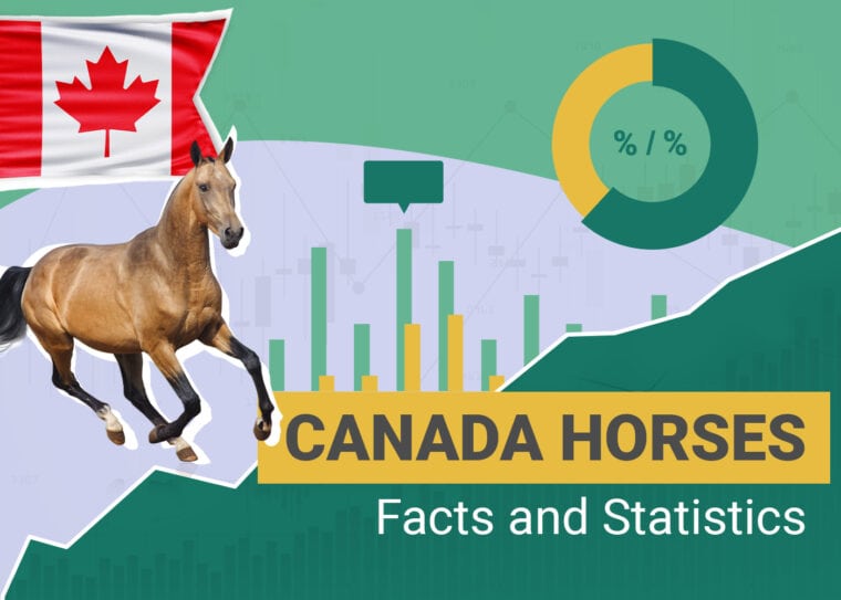 How Many Horses Statistics Canada