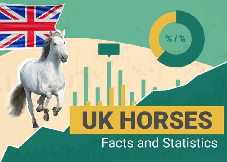 How Many Horses Statistics UK