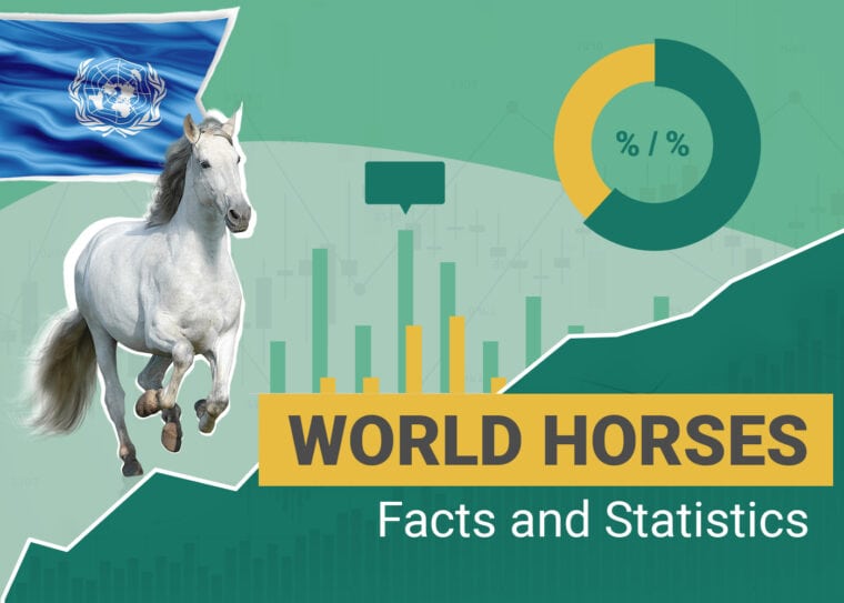 How Many Horses Statistics World