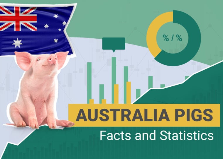 Australia Pigs Facts and Statistic